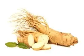 Ginseng Root