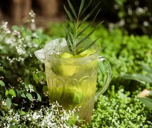 Green Tea Leaf Extract